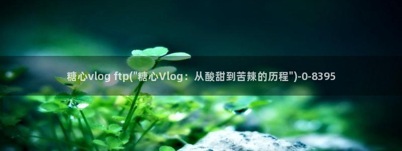 深夜放毒糖心vlog