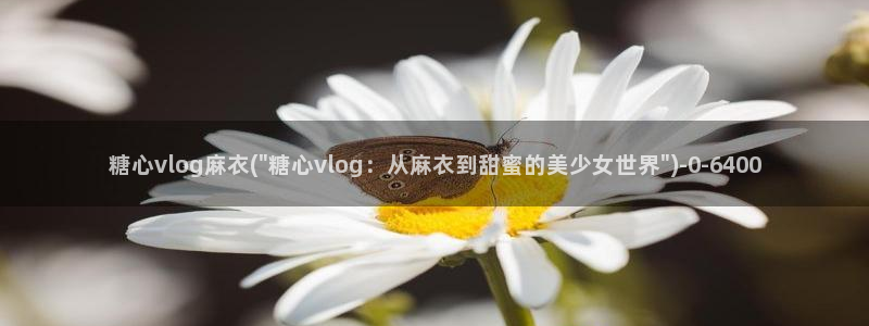 糖心app福利vlog