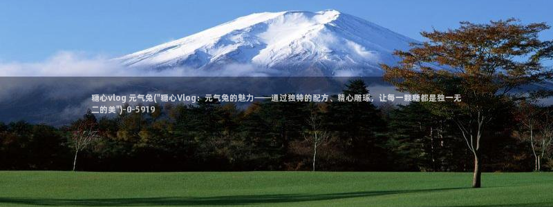 糖心vlog入口官网