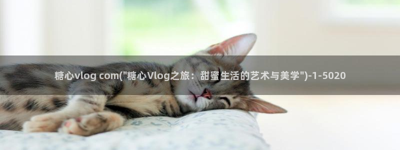 糖心vlog共享会员